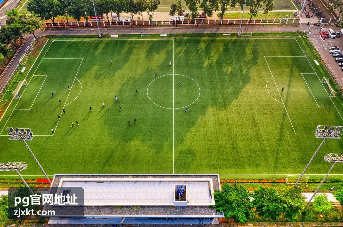 pg官网地址访问界面示意